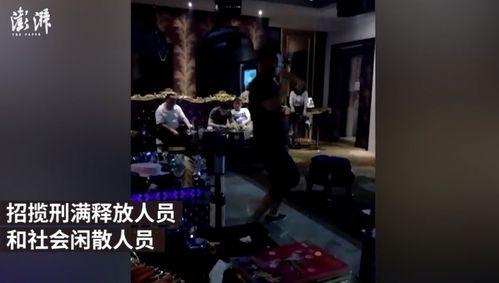 爆料黑社会视频大全最新,最新爆料视频大全深度解析