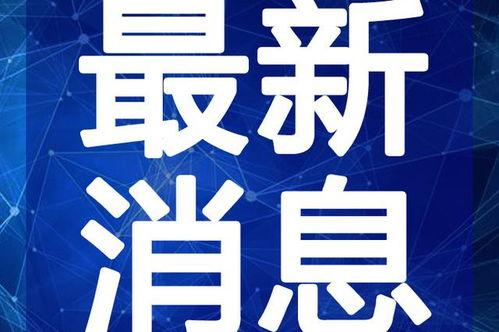 王者爆料花姐视频大全最新,揭秘游戏幕后精彩瞬间