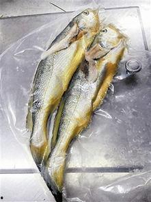 小黄鱼爆料新闻视频播放,揭秘新闻视频背后的真相