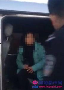 男女免费视频在线观看,在线观看无界限 第1张 男女免费视频在线观看,在线观看无界限 第1张