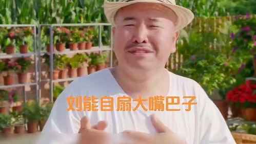 乡村爱情8全集在线观看,重温乡村温馨故事,笑中带泪的年度巨献  第3张 乡村爱情8全集在线观看,重温乡村温馨故事,笑中带泪的年度巨献  第3张
