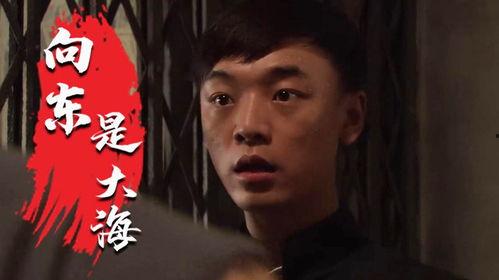 向东是大海在线观看,揭秘“向东是大海”在线观看之旅  第3张 向东是大海在线观看,揭秘“向东是大海”在线观看之旅  第3张