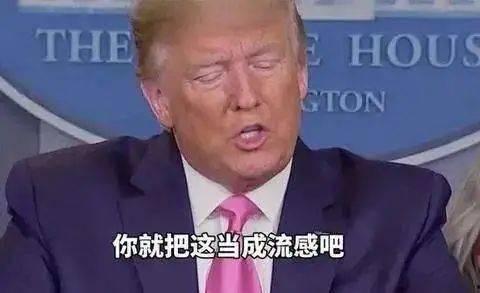 特朗普最新家族爆料图鉴,揭秘权力背后的家族秘密 第3张 特朗普最新家族爆料图鉴,揭秘权力背后的家族秘密 第3张