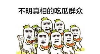 吃瓜群众全集免费播放,揭秘娱乐圈幕后真相,免费播放大揭秘  第2张 吃瓜群众全集免费播放,揭秘娱乐圈幕后真相,免费播放大揭秘  第2张