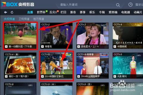 台在线直播观看  第3张 台在线直播观看  第3张