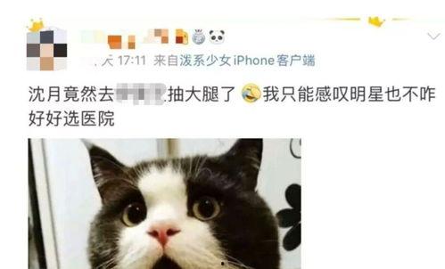 博主皮肤爆料怎么做的视频,轻松打造吸睛内容  第3张 博主皮肤爆料怎么做的视频,轻松打造吸睛内容  第3张