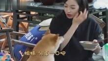 综艺八卦爆料最新视频播放,最新视频揭秘明星幕后故事,精彩瞬间不容错过!  第2张 综艺八卦爆料最新视频播放,最新视频揭秘明星幕后故事,精彩瞬间不容错过!  第2张