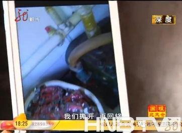 东北网哈尔滨爆料新闻,聚焦城市热点事件,揭秘幕后真相  第3张 东北网哈尔滨爆料新闻,聚焦城市热点事件,揭秘幕后真相  第3张